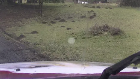 Mole Hole Identifying mole holes vs gopher mounds